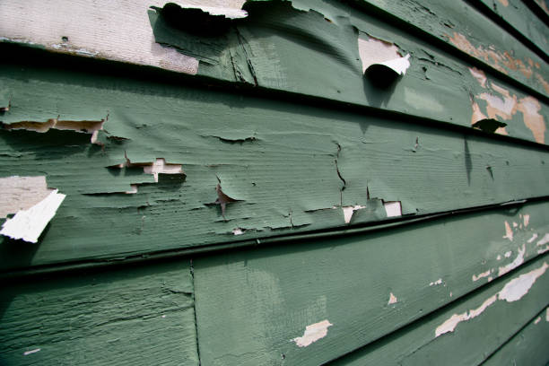 Best Engineered Wood Siding  in Montclair State University, NJ