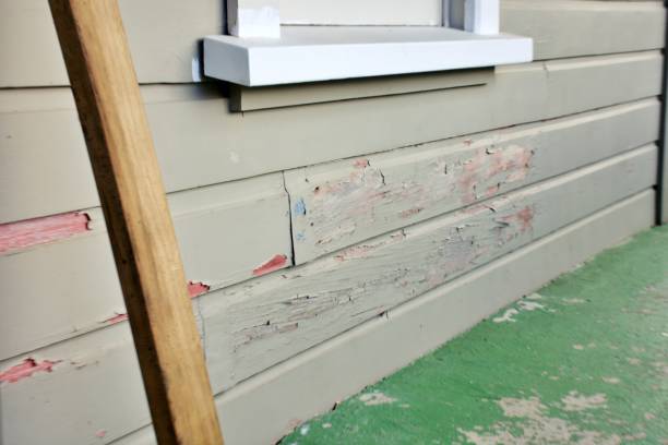 Best Steel Siding Installation  in Montclair State University, NJ